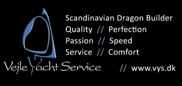 Scnidnavian Dragon Design